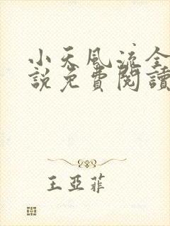 小天风流全集小说免费阅读