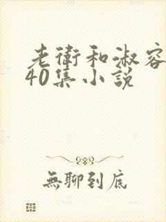 老卫和淑容1-40集小说