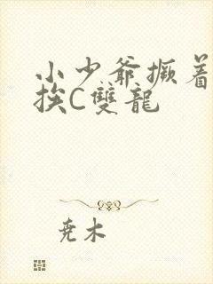 小少爷撅着屁股挨C双龙