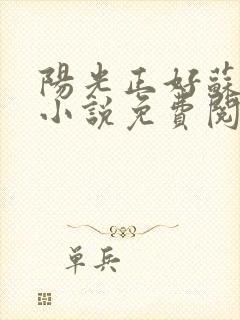 阳光正好苏玥玥小说免费阅读无弹窗