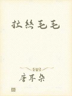 拉丝毛毛