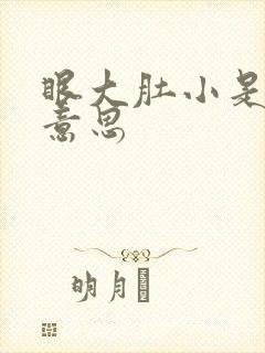 眼大肚小是什么意思