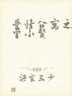 爱情公寓之极品曾小贤