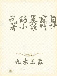 我的暴露日记原著小说叫什么