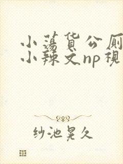 小荡货公厕h文小辣文np视频