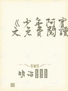 《少年阿宾》全文免费阅读