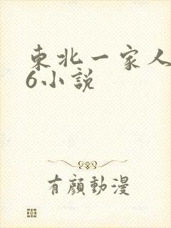 东北一家人1一6小说