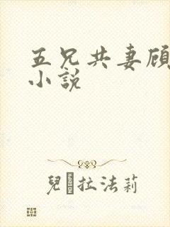 五兄共妻顾心儿小说