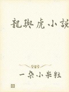 龙与虎小说