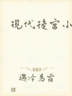 现代后宫小说