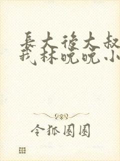 长大后大叔狂宠我林晚晚小说