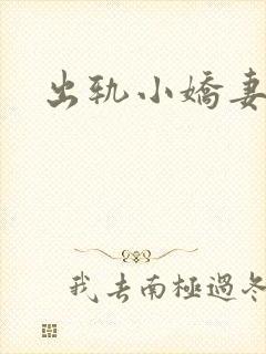 出轨小娇妻