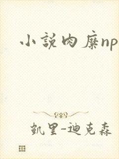 小说肉糜np
