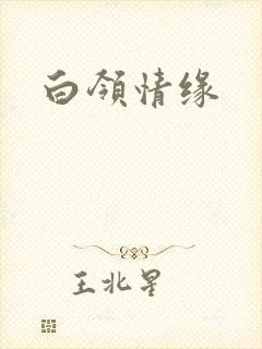 白领情缘