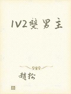 1V2双男主