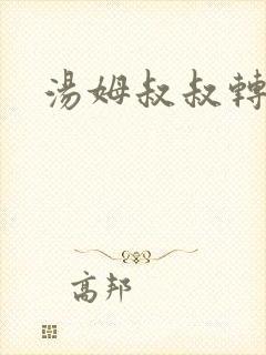 汤姆叔叔转接口