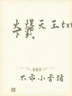火爆天王txt下载