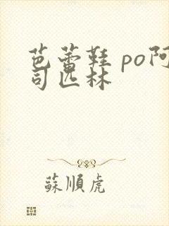 芭蕾鞋 po阿司匹林