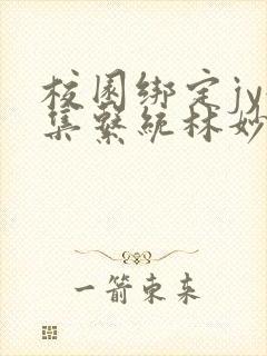 校园绑定jy收集系统林妙妙