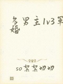 多男主1v3军婚