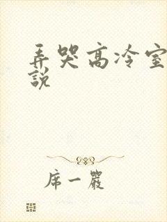 弄哭高冷室友小说