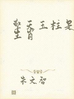 擎天玉柱是什么生肖