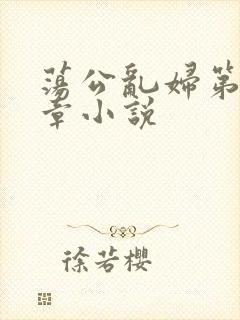 荡公乱妇第51章小说