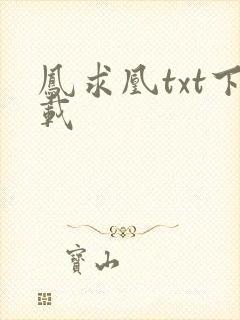 凤求凰txt下载