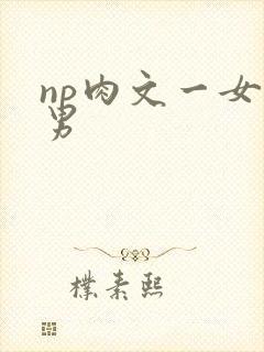 np肉文一女多男
