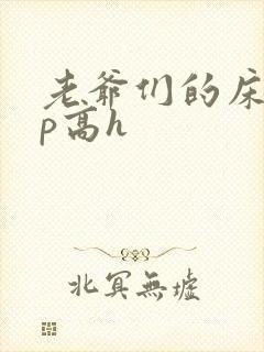 老爷们的床奴np高h