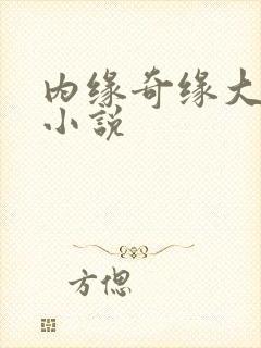内缘奇缘大团圆小说