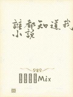 谁都知道我爱你小说