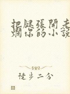 把腿张开老子臊烂你的小说