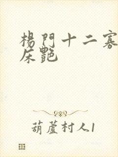 杨门十二寡妇肉床艳