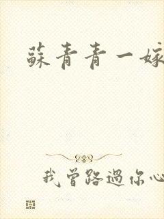 苏青青一嫁三夫