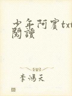 少年阿宾txt阅读