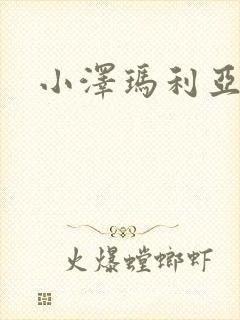 小泽玛利亚作品