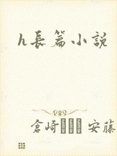 h长篇小说