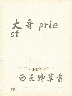 大哥 priest