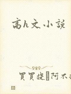 高h文小说