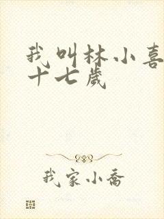 我叫林小喜今年十七岁