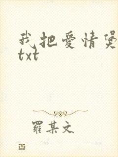 我把爱情煲成汤txt