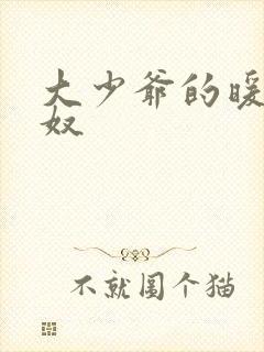 大少爷的暖床小奴