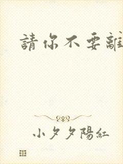 请你不要离开我