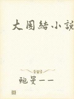 大团结小说阅读