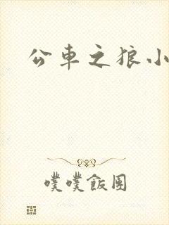 公车之狼小说