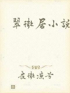 翠微居小说