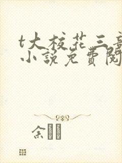 t大校花三部曲小说免费阅读全文