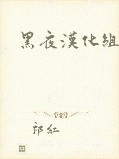 黑夜汉化组