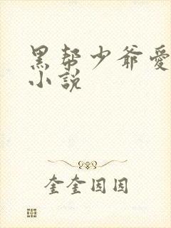 黑帮少爷爱上我小说